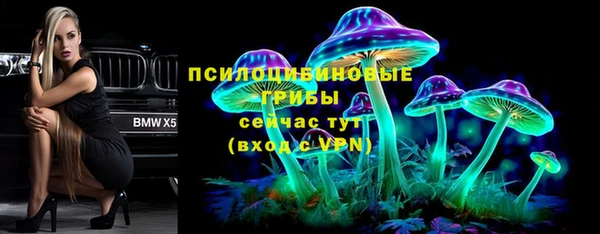 ГАЛЛЮЦИНОГЕННЫЕ ГРИБЫ Абинск