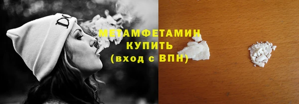 прущие грибы Осинники