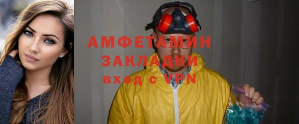 прущие грибы Осинники