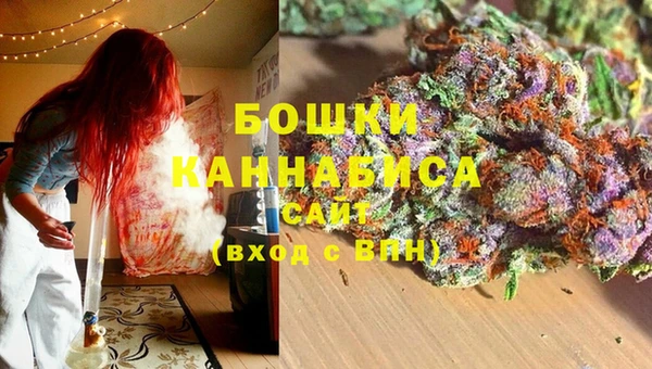 прущие грибы Осинники