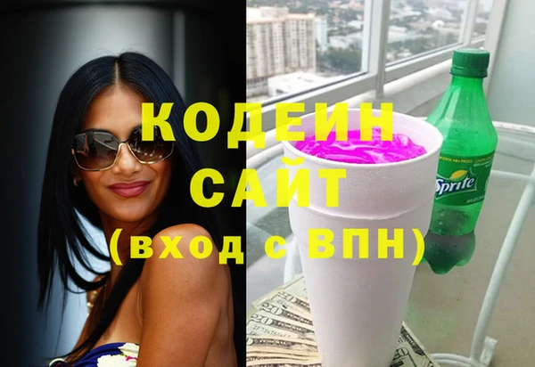 прущие грибы Осинники