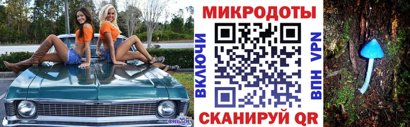 Псилоцибиновые грибы Magic Shrooms  закладка  Красавино 